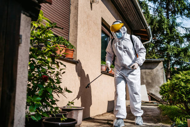 Best Cockroach Control Services  in Forty Fort, PA
