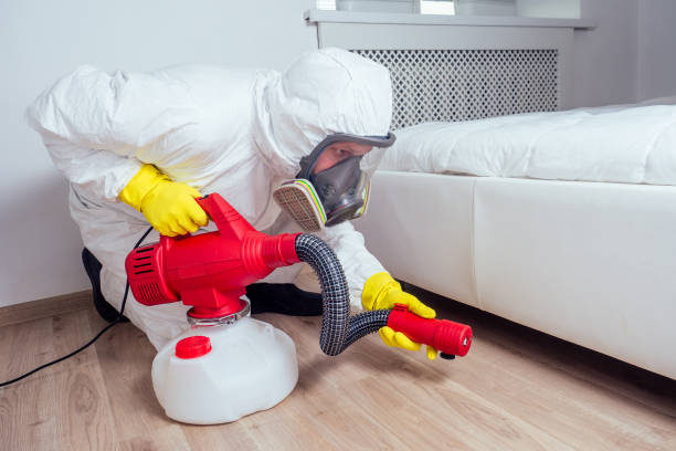 Trusted Forty Fort, PA Pest Control Experts