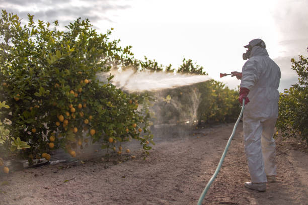 Best Commercial Pest Control Services  in Forty Fort, PA
