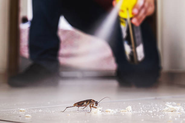 Best Pest Removal Services  in Forty Fort, PA