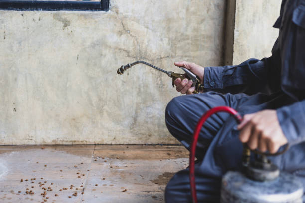 Best Residential Pest Control  in Forty Fort, PA